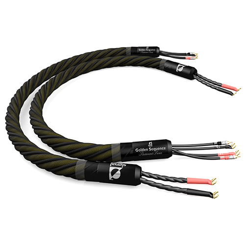 Golden Sequence - Speaker Cable